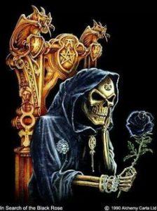 Look, he brought a flower!